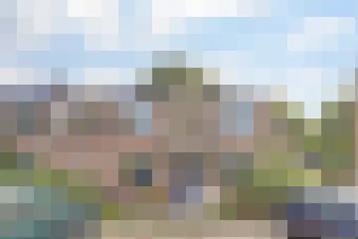 Leeuwerik 11 Doorn thumbnail 25