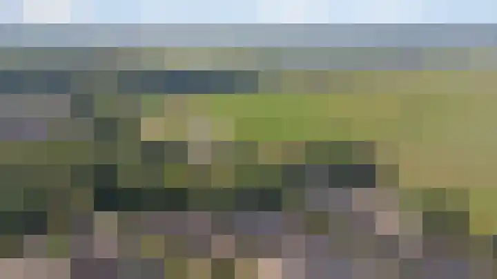 Leeuwerik 11 Doorn thumbnail 28