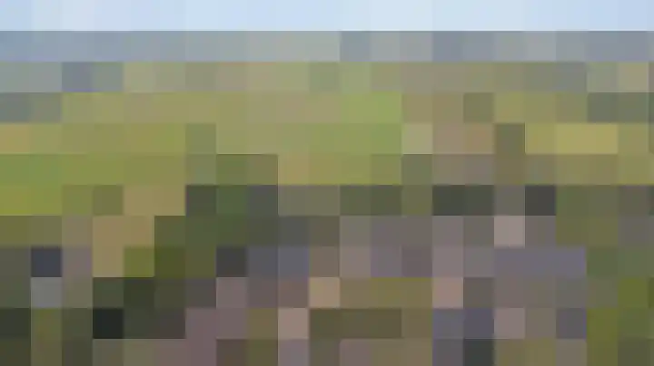Leeuwerik 11 Doorn thumbnail 29