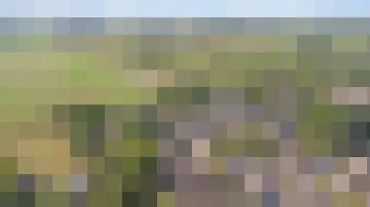 Leeuwerik 11 Doorn thumbnail 30