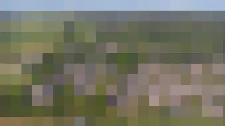 Leeuwerik 11 Doorn thumbnail 31
