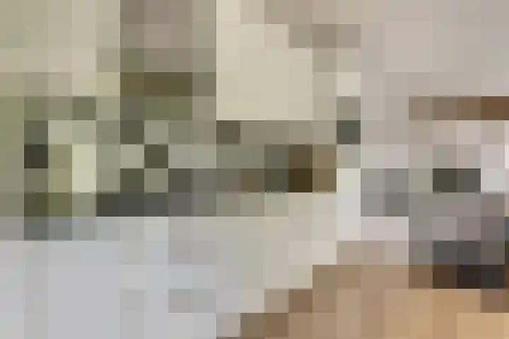 Leeuwerik 11 Doorn thumbnail 7