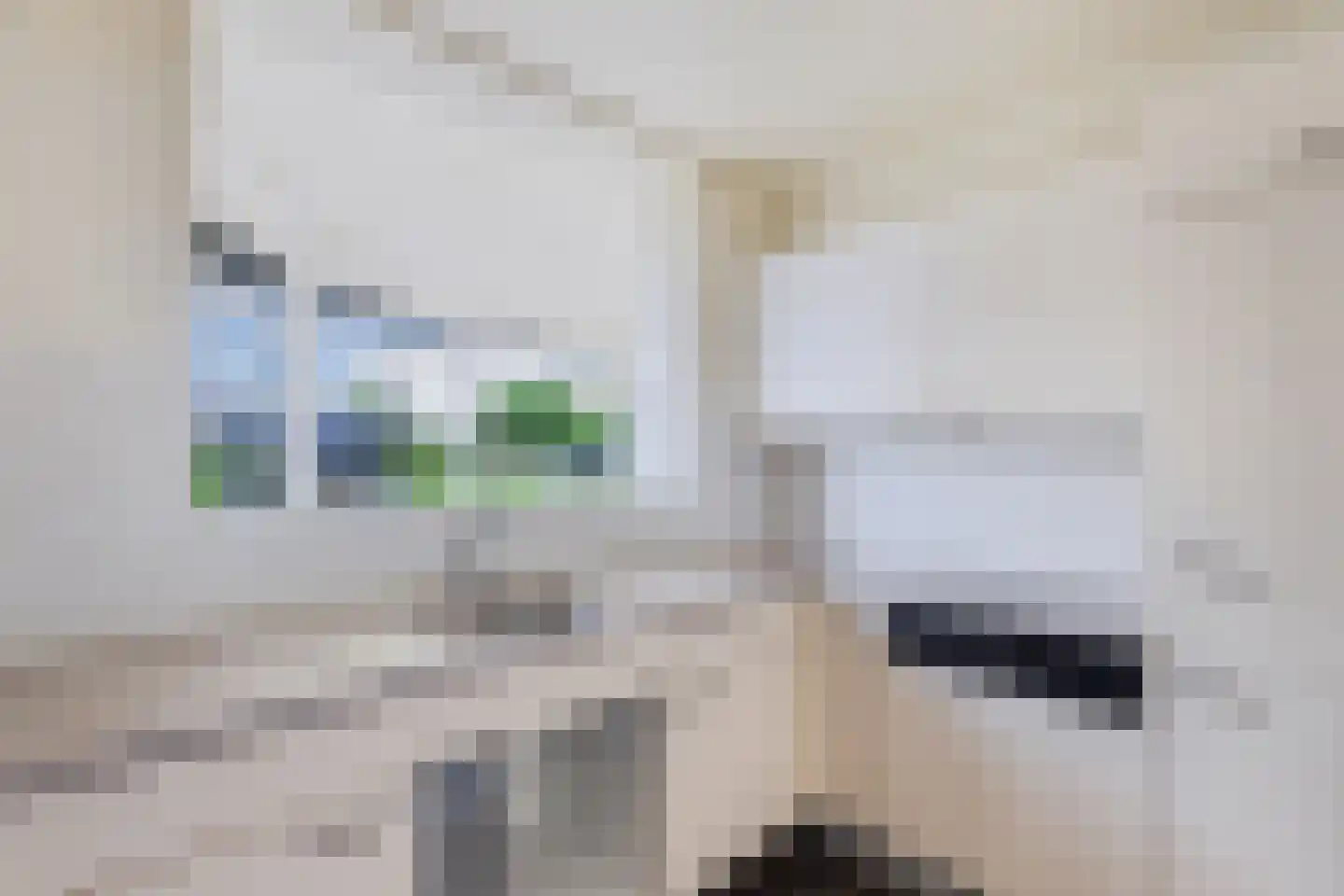 Leeuwerik 11 Lemmer thumbnail 19