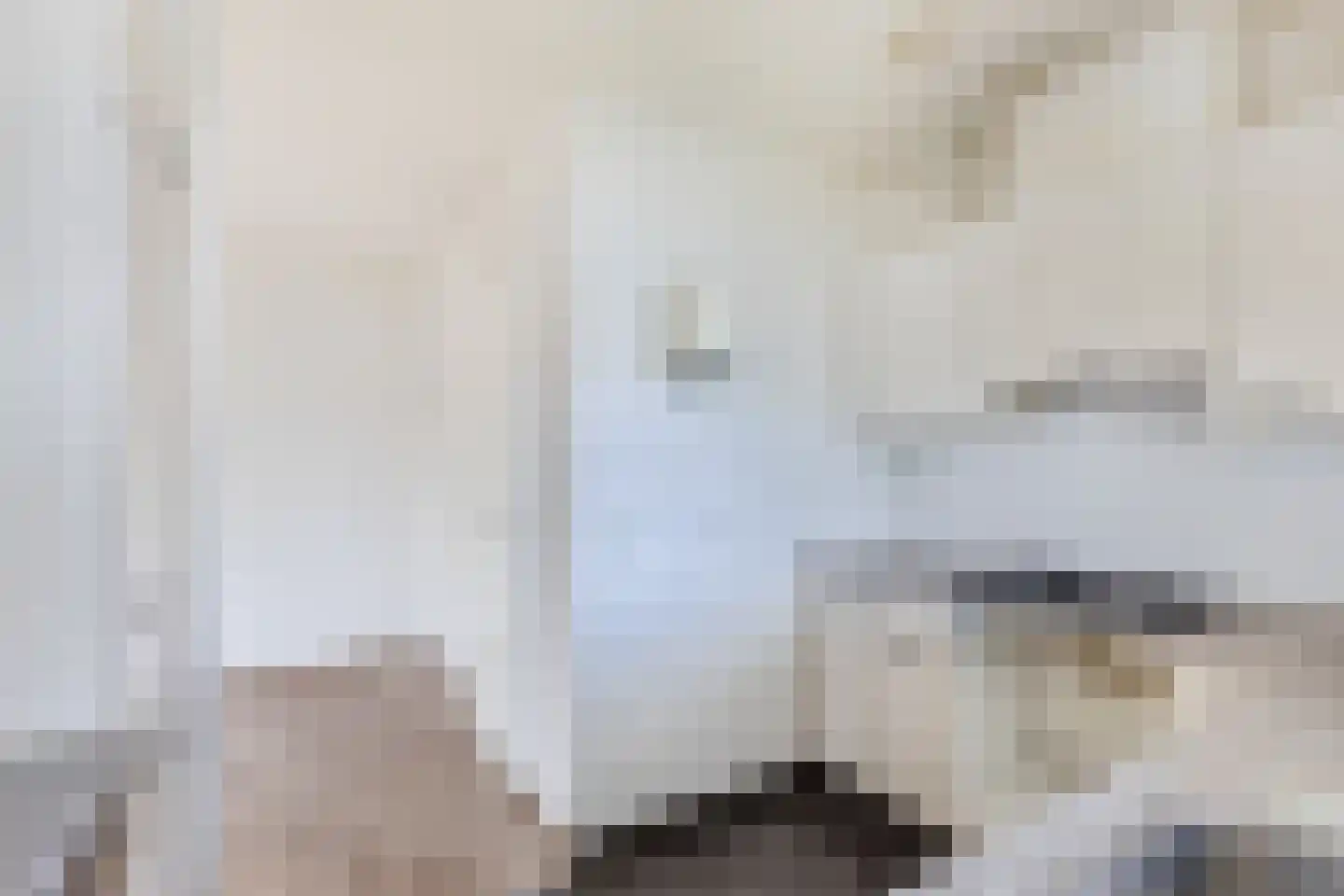 Leeuwerik 11 Lemmer thumbnail 20