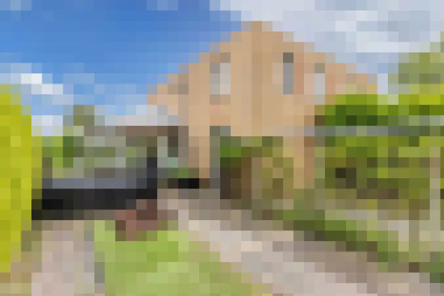 Leeuwerik 11 Lemmer thumbnail 24