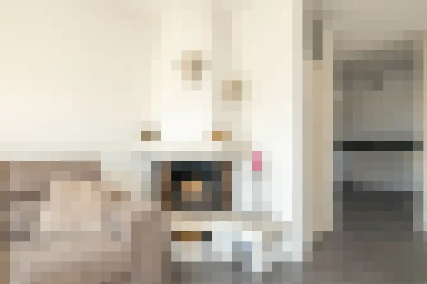 Leeuwerik 111 Kwintsheul thumbnail 13