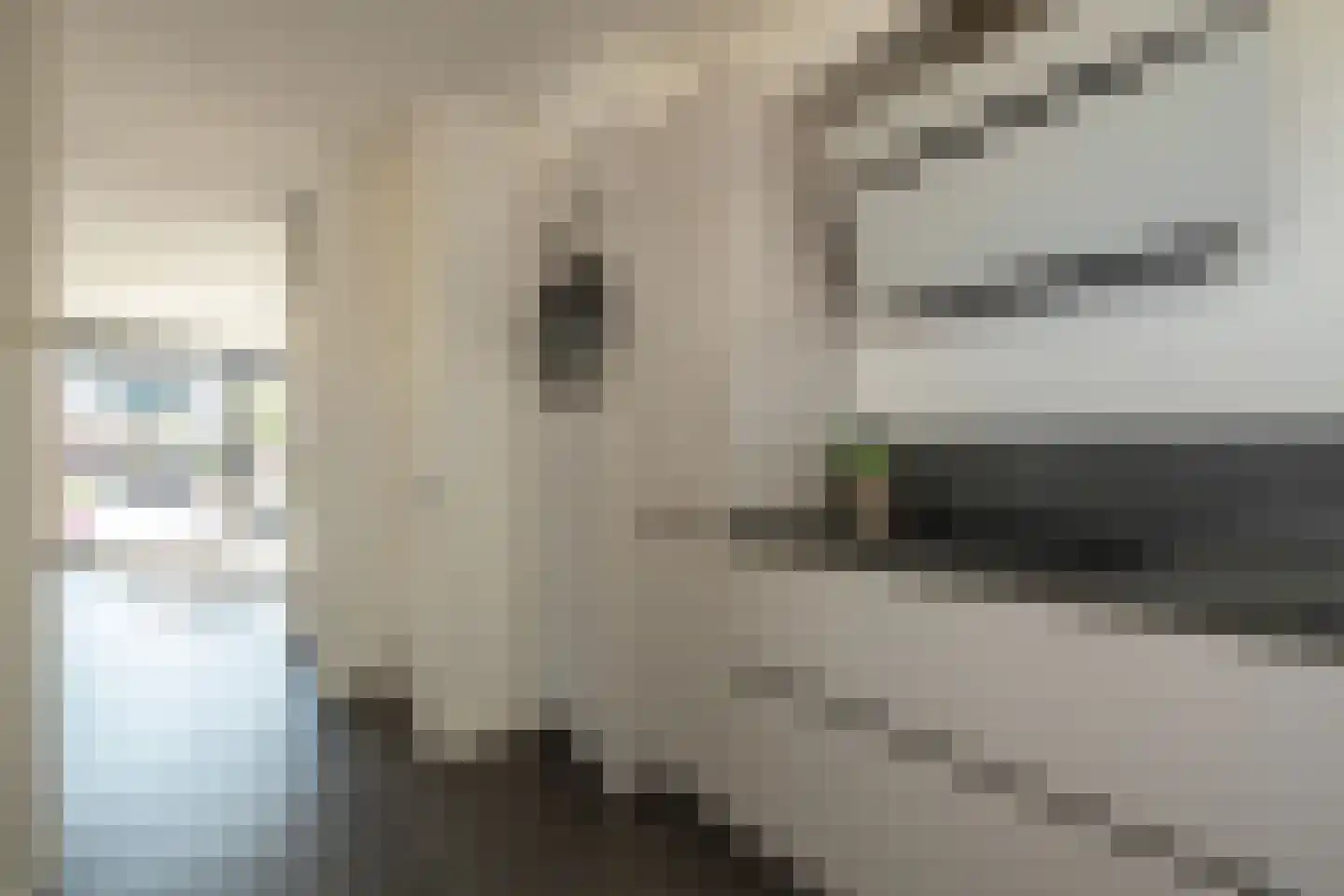 Leeuwerik 111 Kwintsheul thumbnail 16