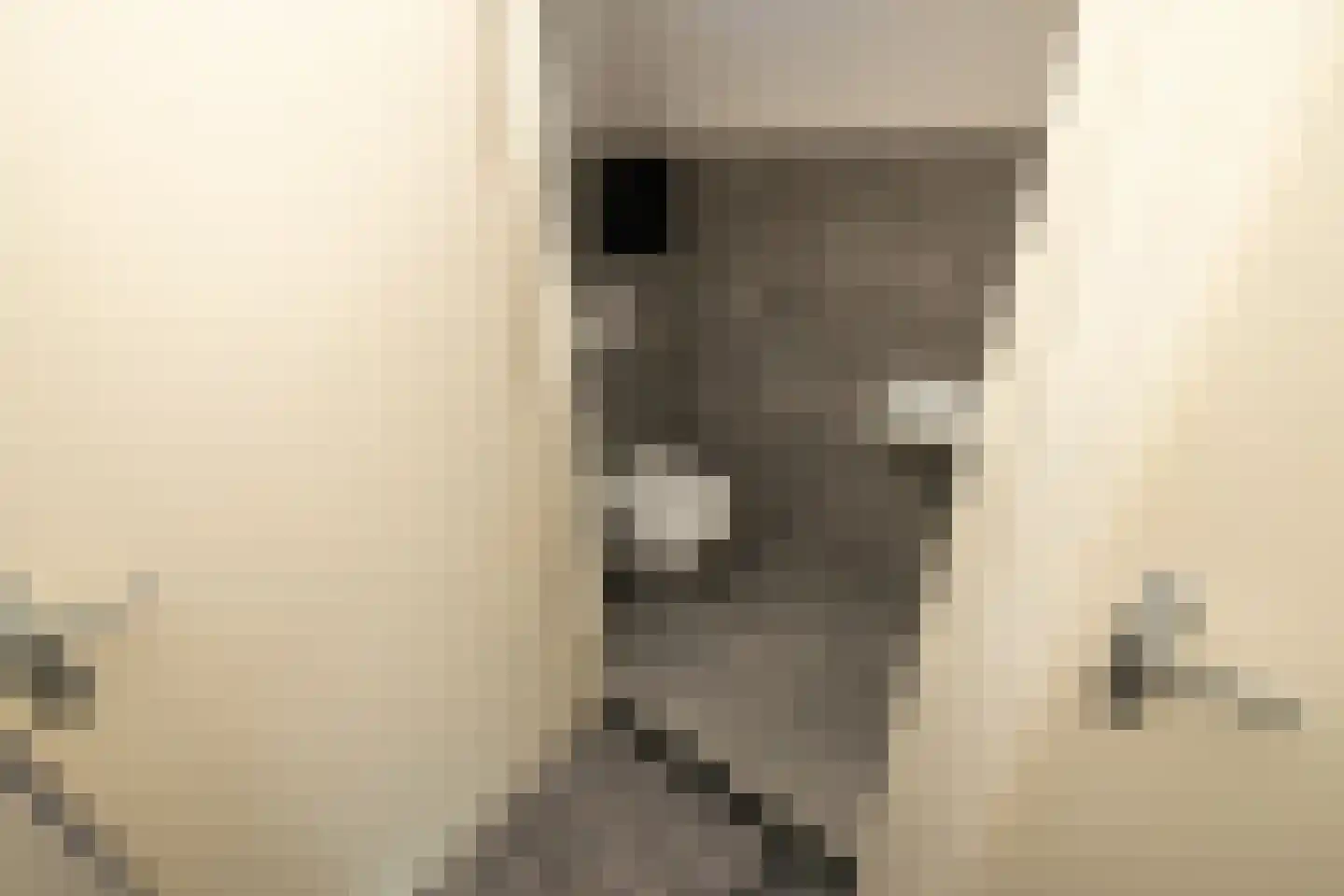 Leeuwerik 111 Kwintsheul thumbnail 17