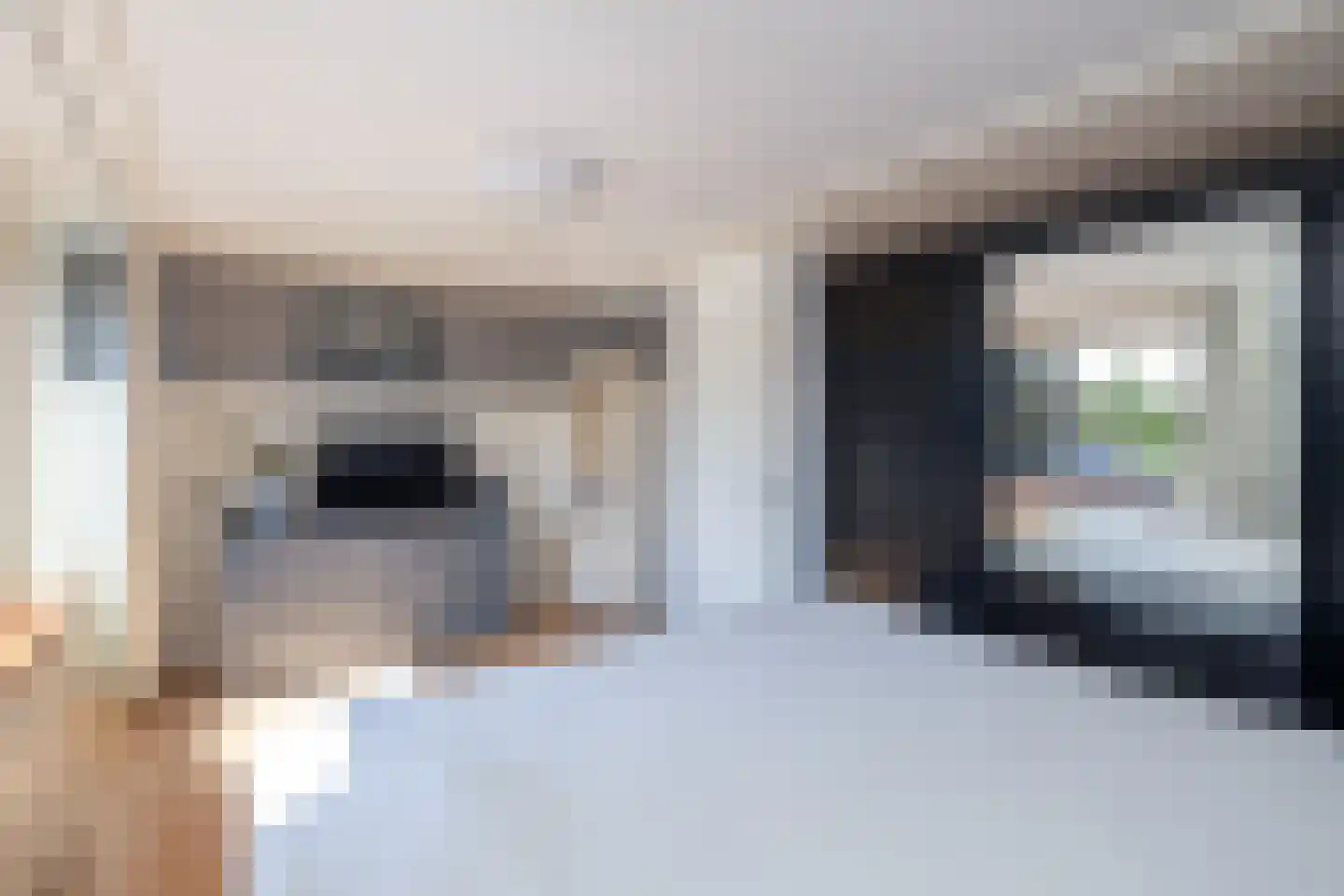 Leeuwerik 111 Kwintsheul thumbnail 20