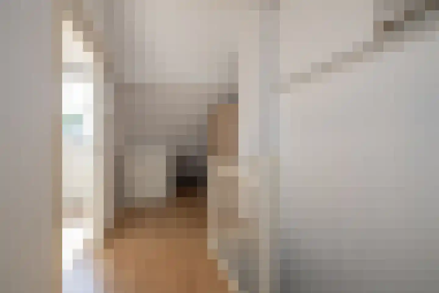Leeuwerik 111 Kwintsheul thumbnail 30