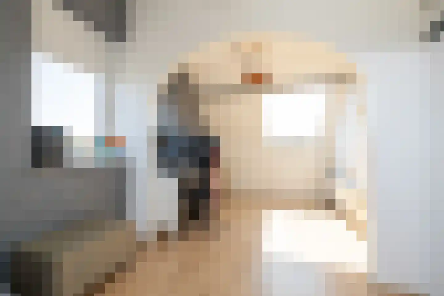 Leeuwerik 111 Kwintsheul thumbnail 32