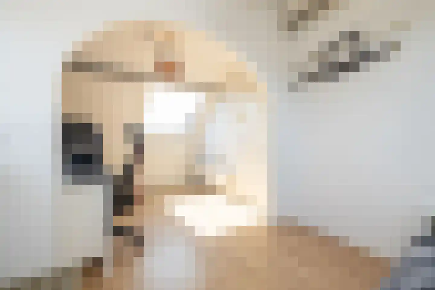 Leeuwerik 111 Kwintsheul thumbnail 33