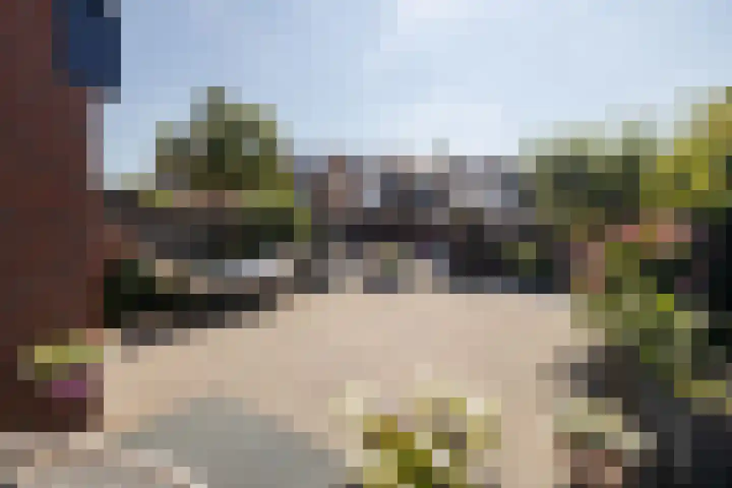 Leeuwerik 111 Kwintsheul thumbnail 35