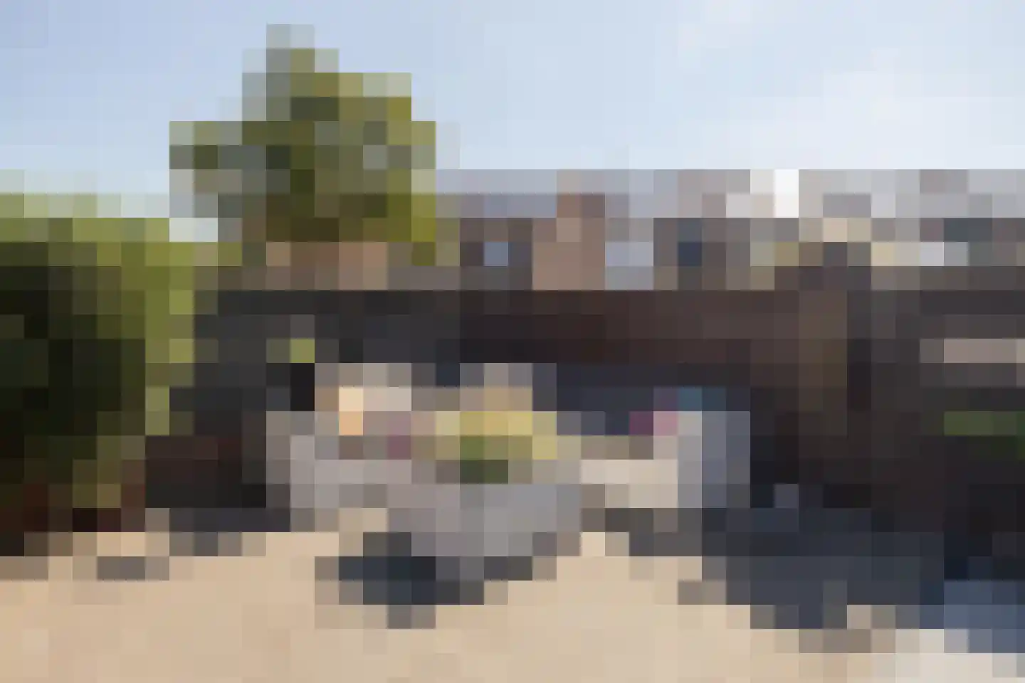 Leeuwerik 111 Kwintsheul thumbnail 37