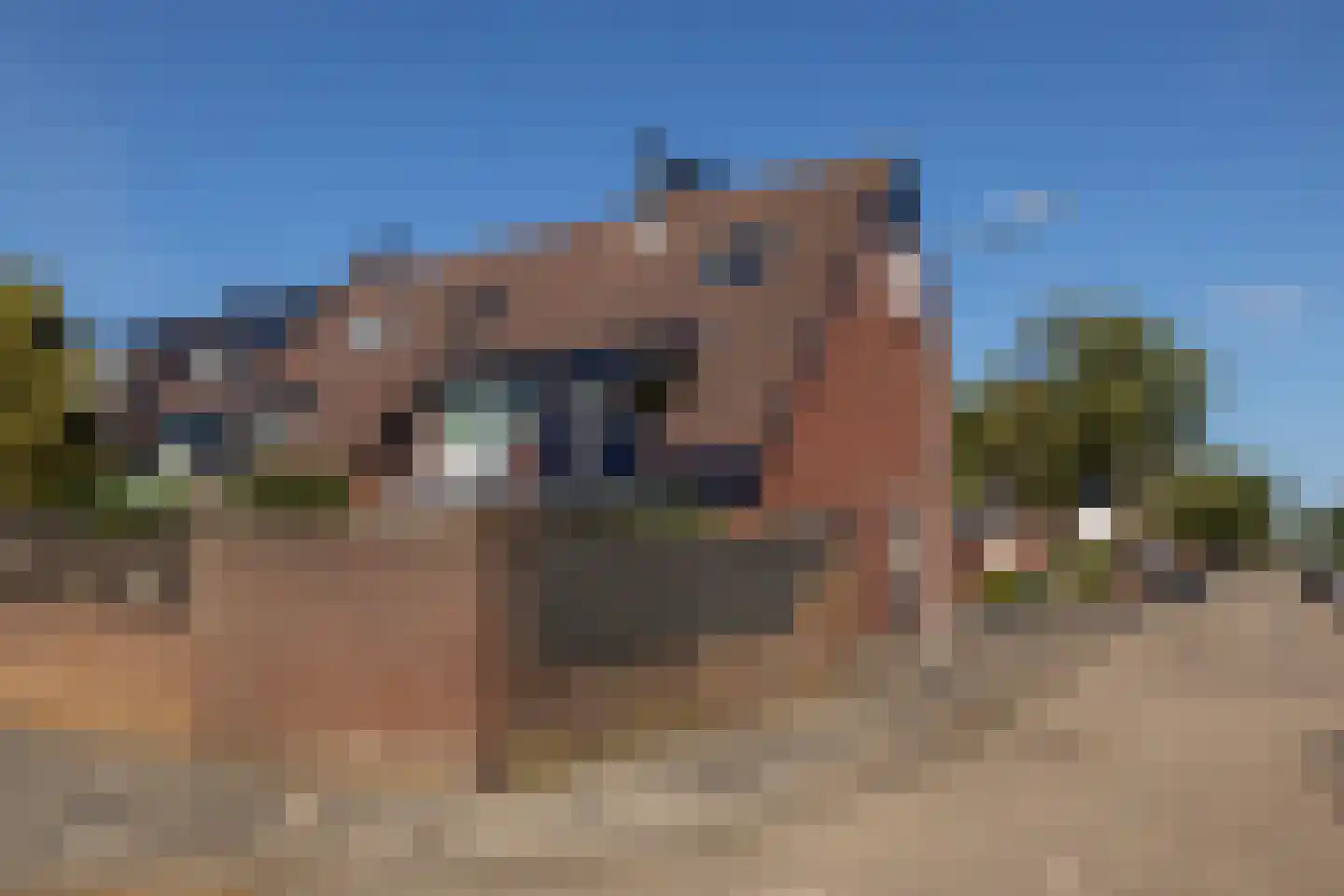 Leeuwerik 111 Kwintsheul thumbnail 42