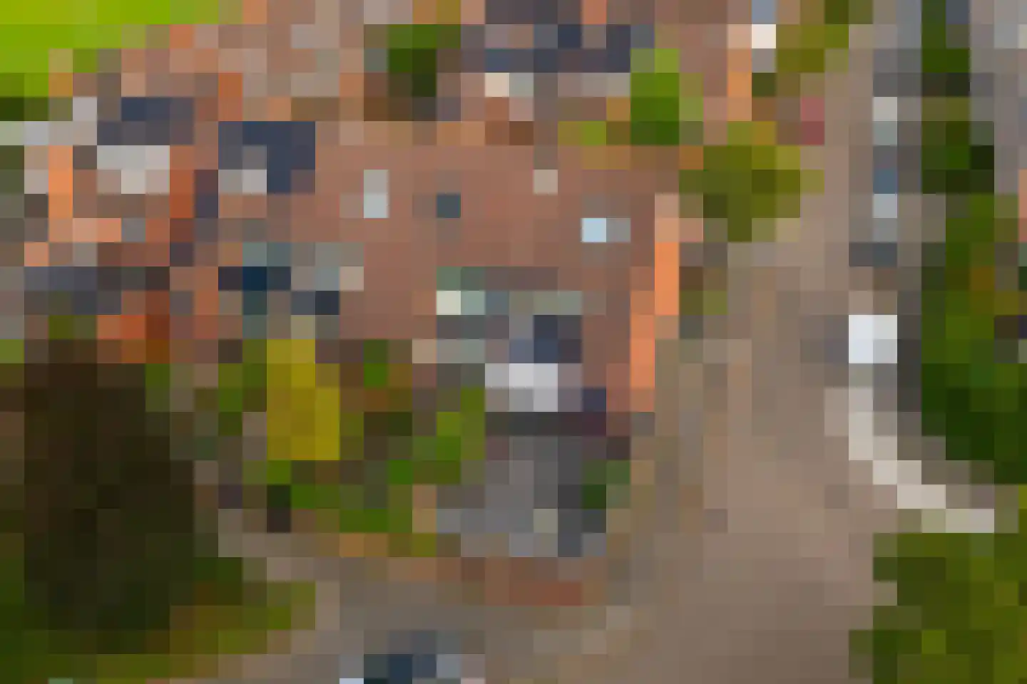 Leeuwerik 111 Kwintsheul thumbnail 44