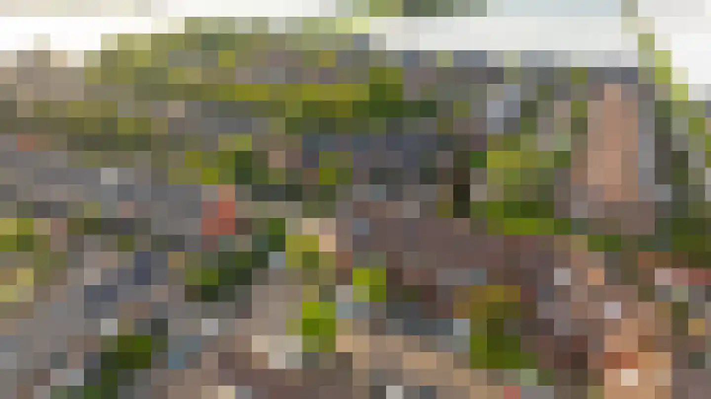 Leeuwerik 111 Kwintsheul thumbnail 46