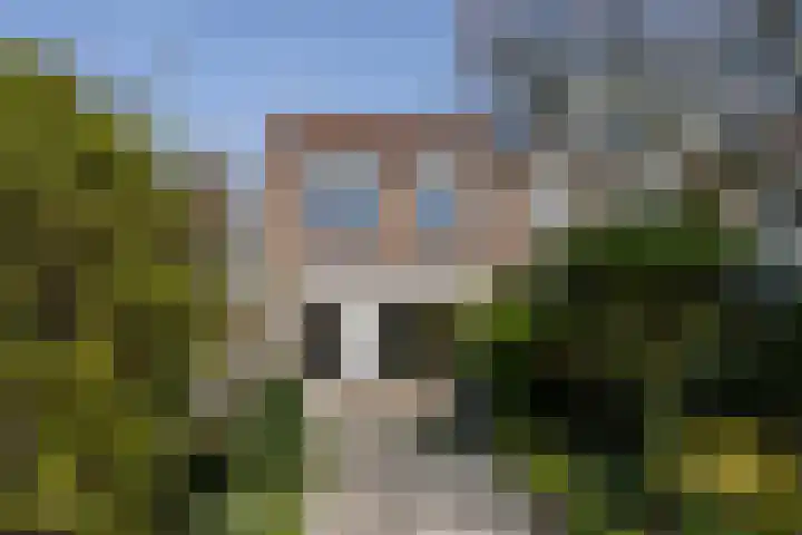 Leeuwerik 113 Kwintsheul thumbnail 10