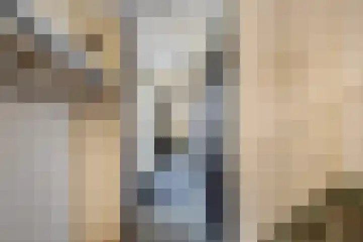 Leeuwerik 113 Kwintsheul thumbnail 11