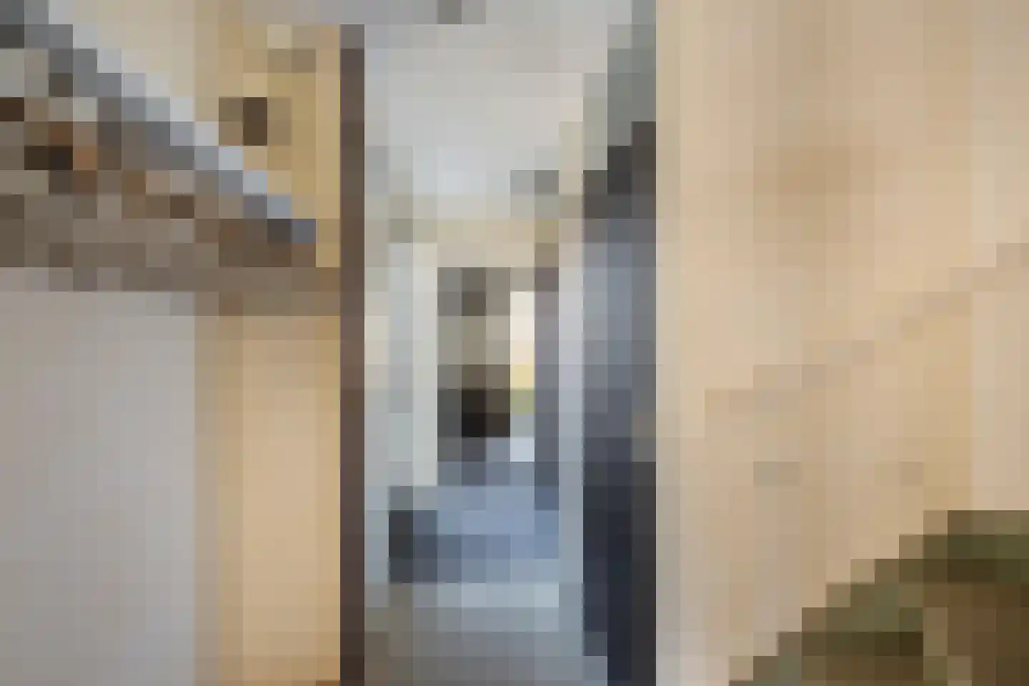 Leeuwerik 113 Kwintsheul thumbnail 11