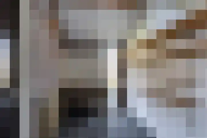 Leeuwerik 113 Kwintsheul thumbnail 12