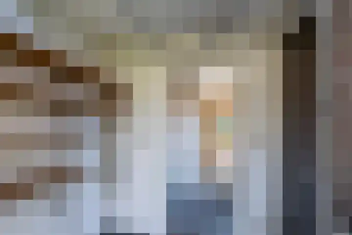 Leeuwerik 113 Kwintsheul thumbnail 13