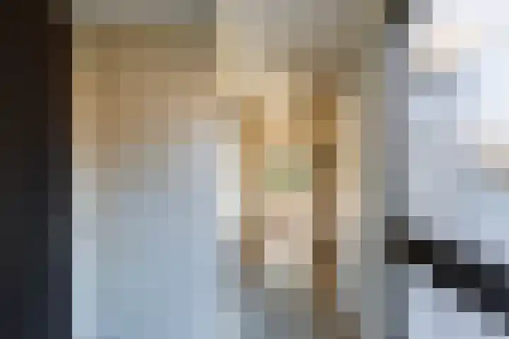 Leeuwerik 113 Kwintsheul thumbnail 14
