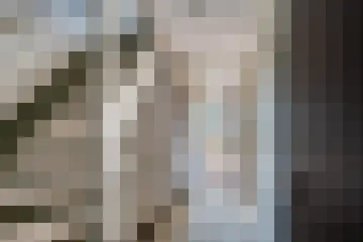 Leeuwerik 113 Kwintsheul thumbnail 16