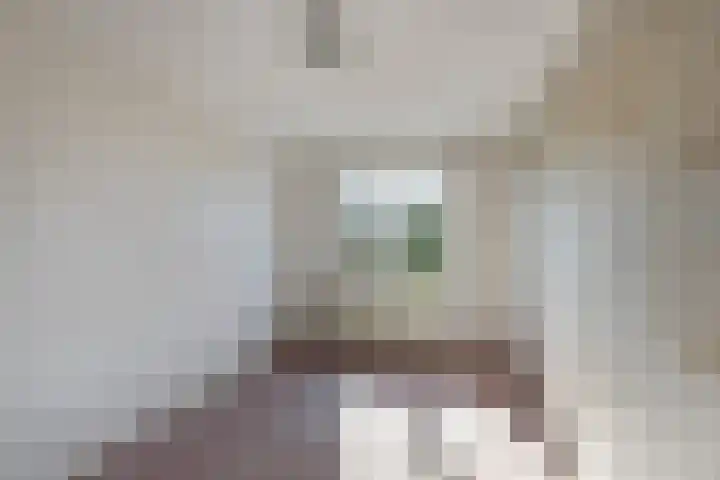 Leeuwerik 113 Kwintsheul thumbnail 17