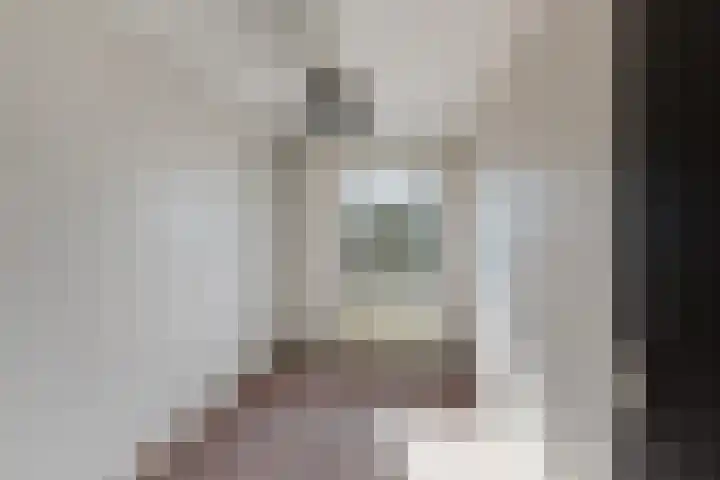 Leeuwerik 113 Kwintsheul thumbnail 19