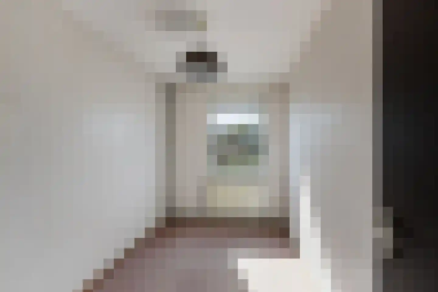 Leeuwerik 113 Kwintsheul thumbnail 19