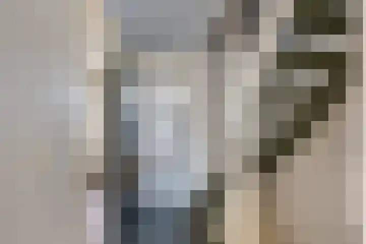 Leeuwerik 113 Kwintsheul thumbnail 21