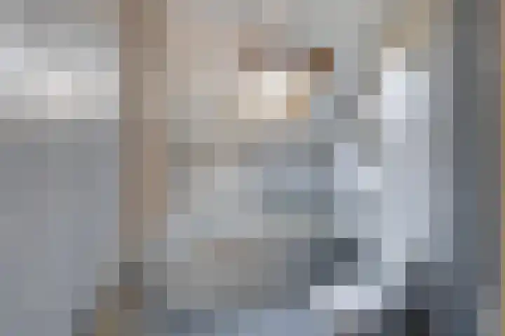 Leeuwerik 113 Kwintsheul thumbnail 22
