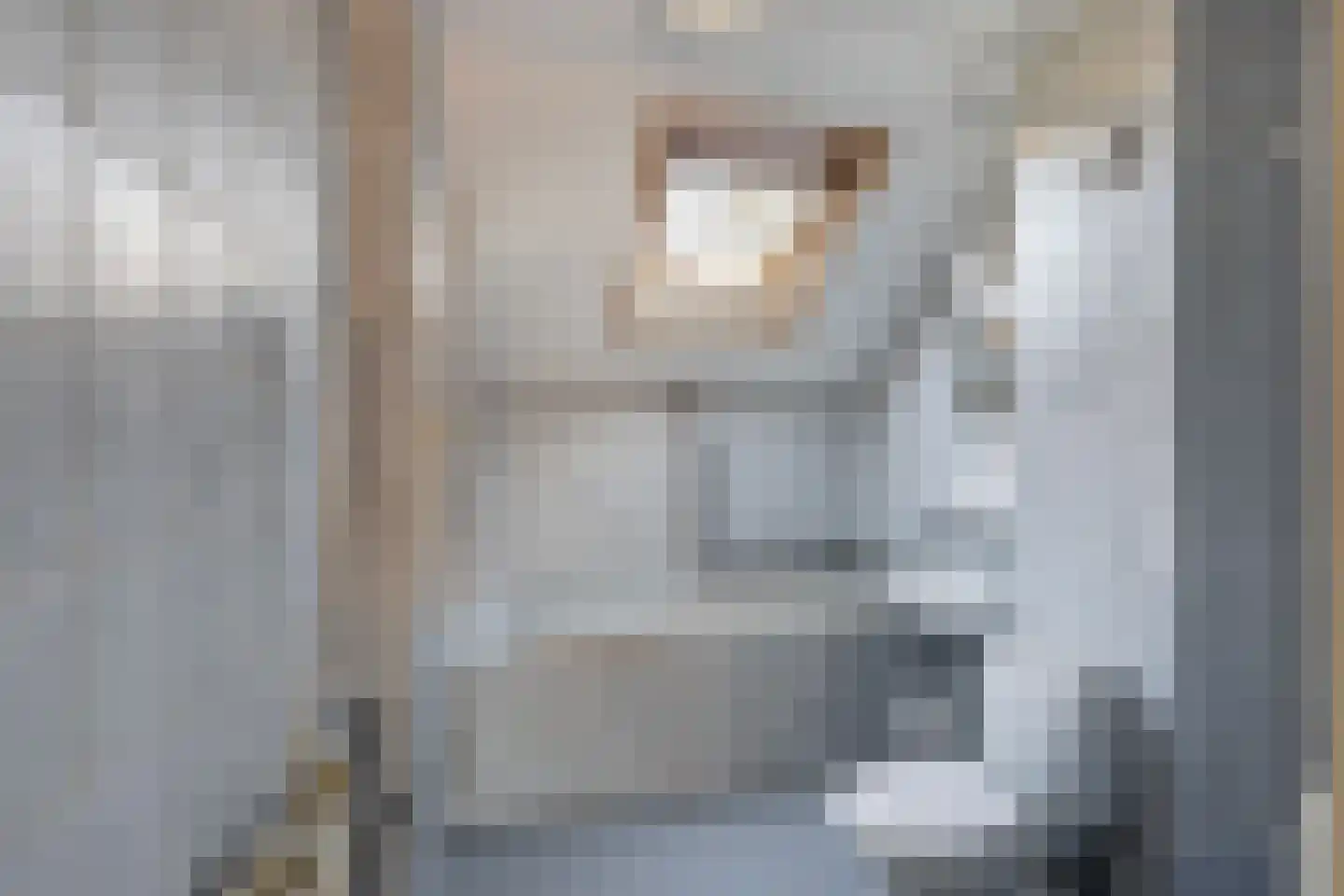 Leeuwerik 113 Kwintsheul thumbnail 22
