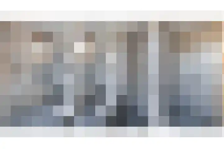 Leeuwerik 113 Kwintsheul thumbnail 23