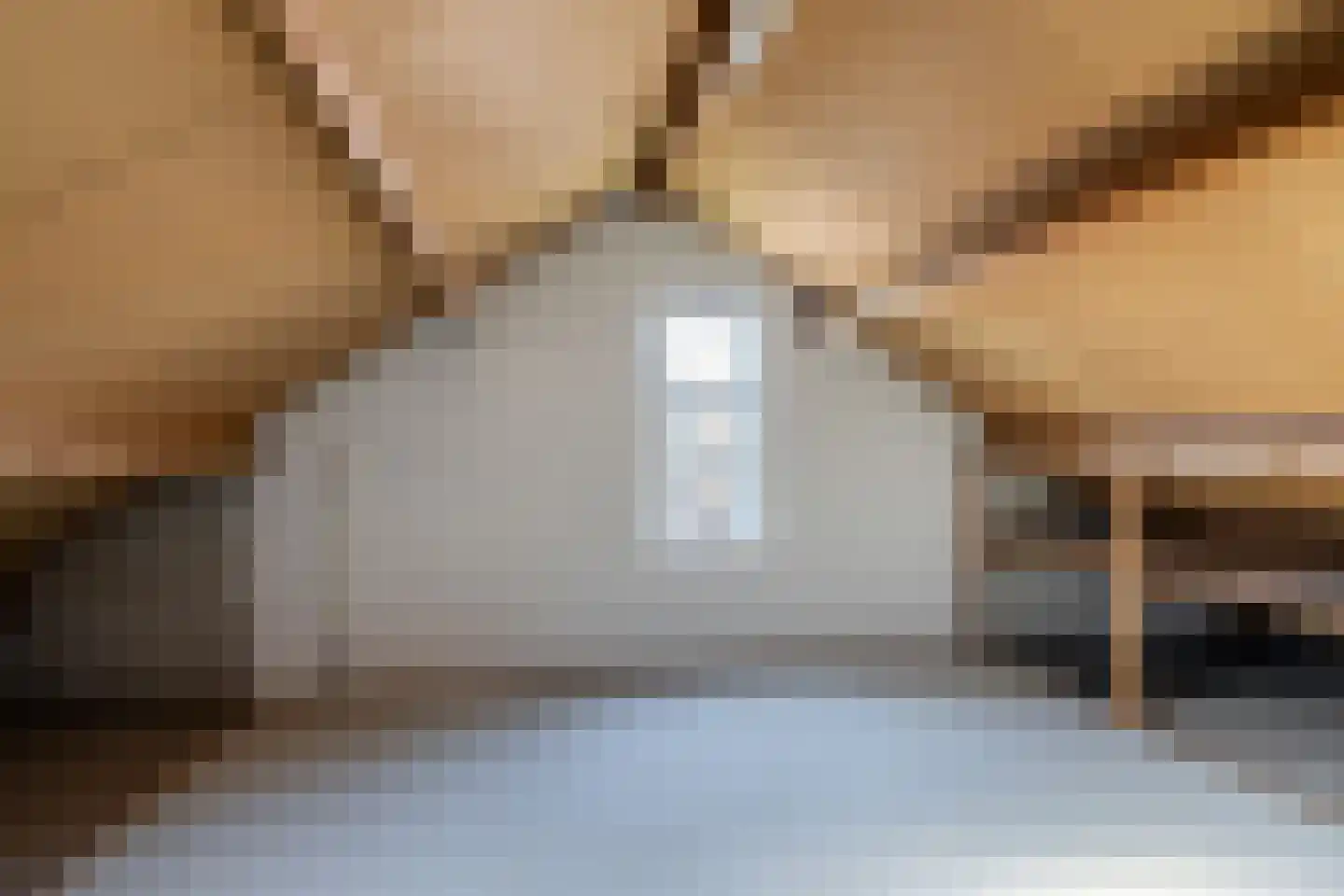 Leeuwerik 113 Kwintsheul thumbnail 26