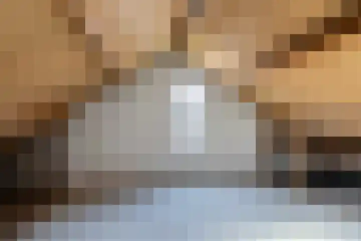 Leeuwerik 113 Kwintsheul thumbnail 26