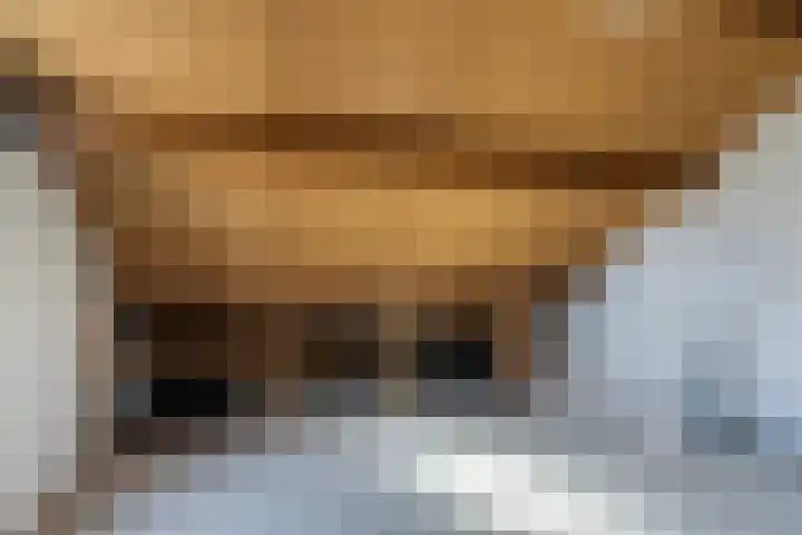 Leeuwerik 113 Kwintsheul thumbnail 27