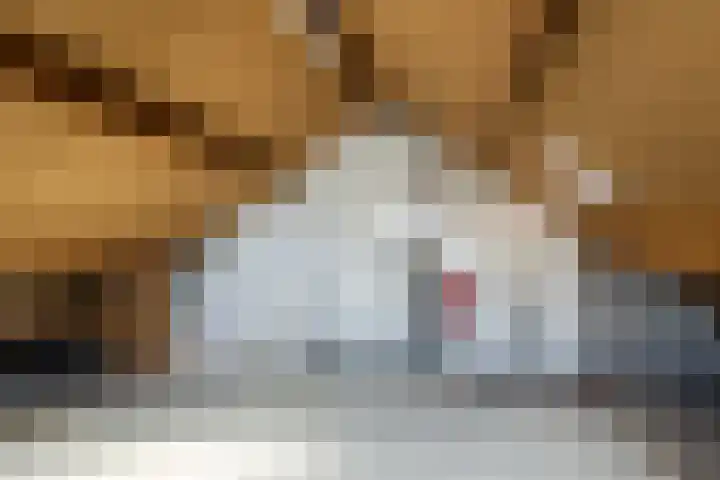 Leeuwerik 113 Kwintsheul thumbnail 29