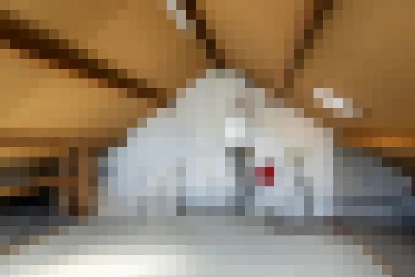 Leeuwerik 113 Kwintsheul thumbnail 29