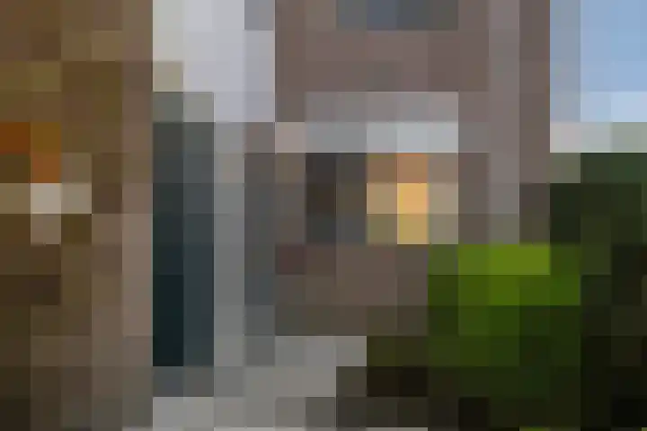 Leeuwerik 113 Kwintsheul thumbnail 30
