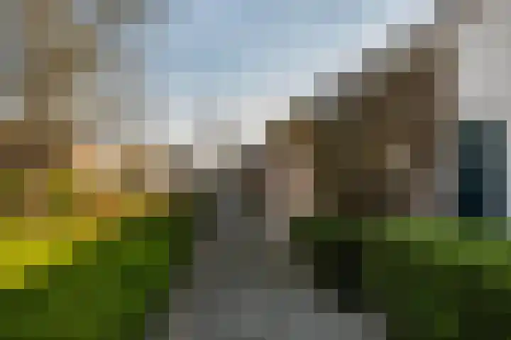 Leeuwerik 113 Kwintsheul thumbnail 31