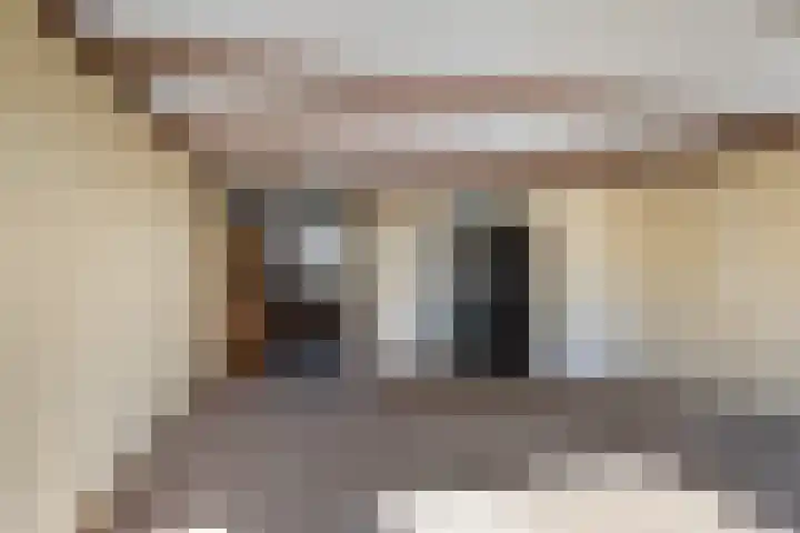 Leeuwerik 113 Kwintsheul thumbnail 4