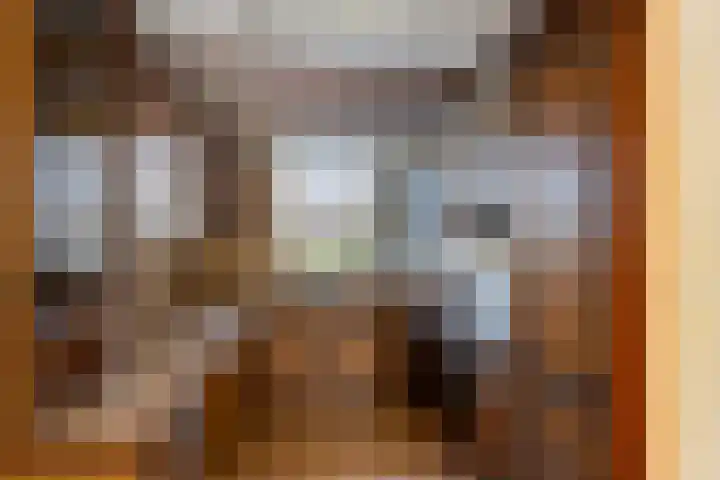 Leeuwerik 113 Kwintsheul thumbnail 5