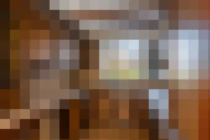Leeuwerik 113 Kwintsheul thumbnail 6