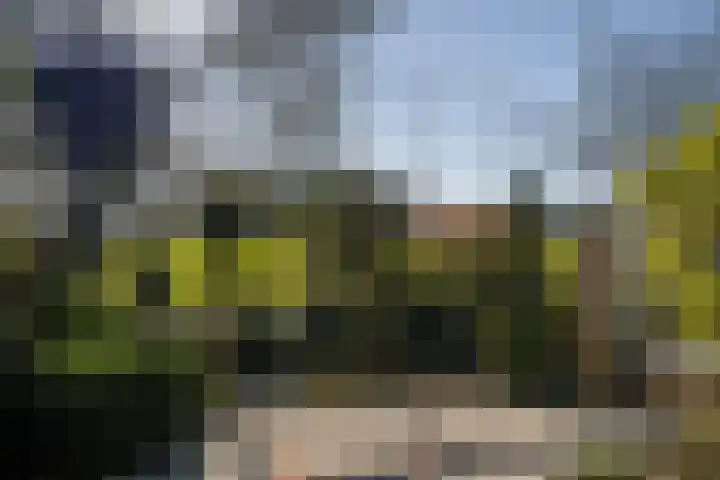 Leeuwerik 113 Kwintsheul thumbnail 7