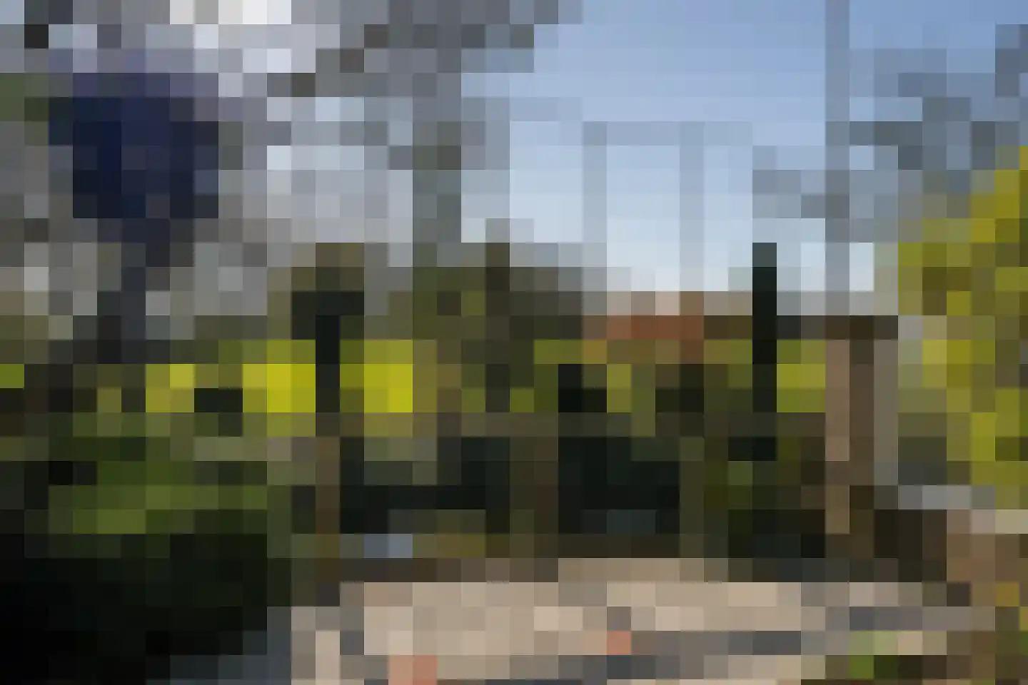 Leeuwerik 113 Kwintsheul thumbnail 7