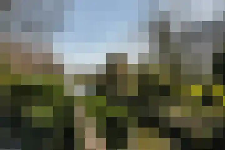 Leeuwerik 113 Kwintsheul thumbnail 8