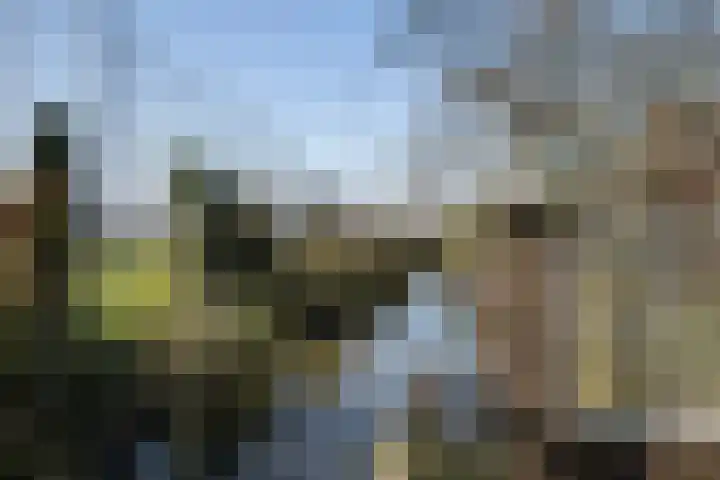 Leeuwerik 113 Kwintsheul thumbnail 9
