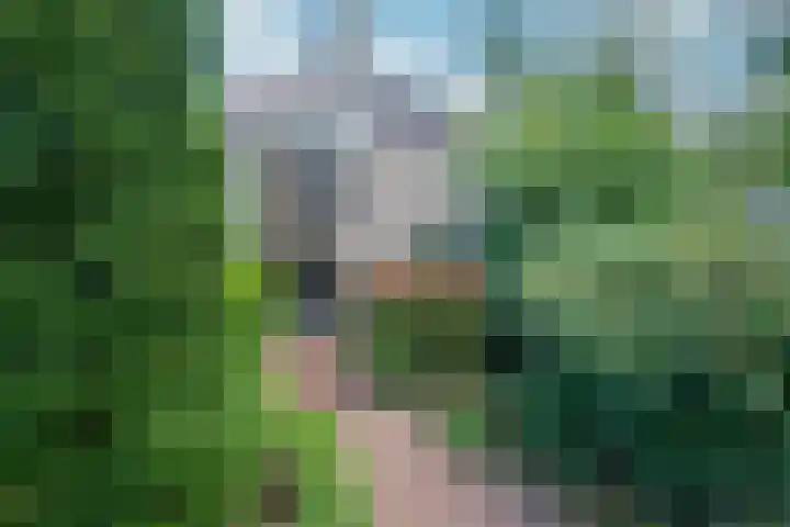 Leeuwerik 13 Genemuiden thumbnail 10